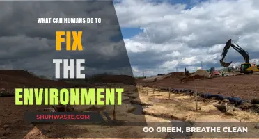 Sustainable Solutions: How Humans Can Heal and Restore Our Environment