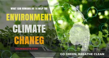 Sustainable Actions: How Humans Can Combat Climate Change Effectively