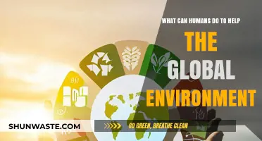 Sustainable Actions: How Humans Can Protect and Restore Our Planet