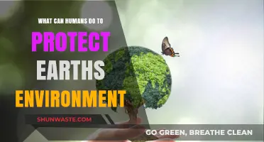 Sustainable Actions: How Humans Can Safeguard Earth's Fragile Environment