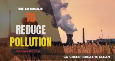 Human Actions to Reduce Pollution