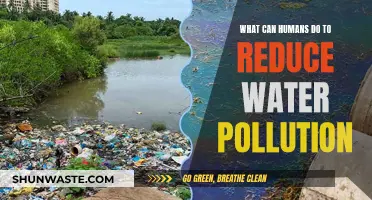 Empowering Change: Simple Steps to Combat Water Pollution