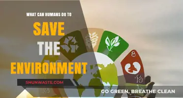Sustainable Actions: How Humans Can Protect and Preserve Our Environment