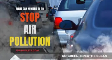 Humans Can Reduce Air Pollution Through..