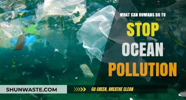 Ocean's Call: Our Action Plan to Save the Seas