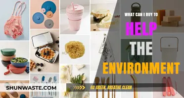 Eco-Friendly Essentials: Sustainable Products to Protect Our Planet