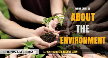 Sustainable Steps: Practical Actions to Protect Our Environment Today