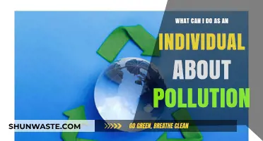 Empowering Change: Simple Steps to Fight Pollution as an Individual