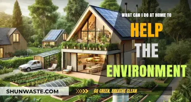 Eco-Friendly Home Habits: Simple Ways to Protect Our Planet Daily
