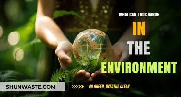 Empowering Eco-Friendly Actions: Simple Steps to Transform Our Environment
