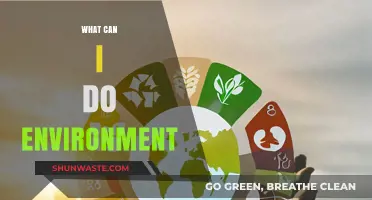 Sustainable Actions: Simple Ways to Protect Our Environment Daily