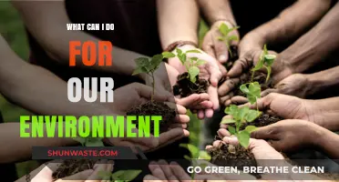 Sustainable Steps: Simple Actions to Protect and Preserve Our Environment