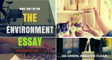 Sustainable Actions: Simple Ways to Protect Our Environment Daily
