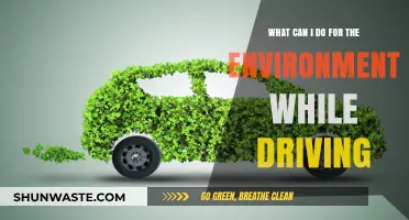 Eco-Friendly Driving: Simple Tips to Reduce Your Environmental Impact