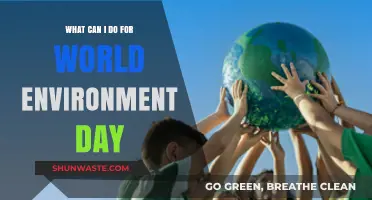 Celebrate World Environment Day: Simple Actions for a Greener Future