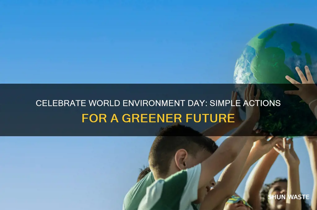what can i do for world environment day