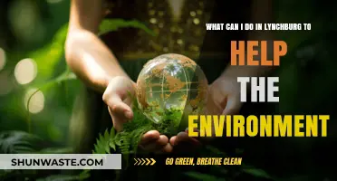 Eco-Friendly Actions: How to Help Lynchburg's Environment Today