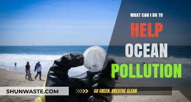 10 Simple Steps to Fight Ocean Pollution