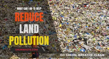 Simple Actions to Reduce Land Pollution