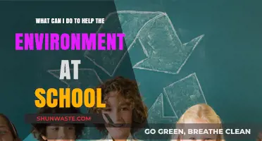 Eco-Friendly School Tips: Simple Ways to Protect Our Planet
