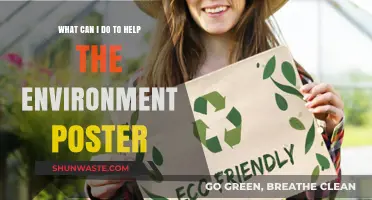 Eco-Friendly Actions: Simple Steps to Create an Impactful Environment Poster