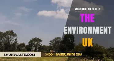 Sustainable Living: Simple UK Actions to Protect Our Environment