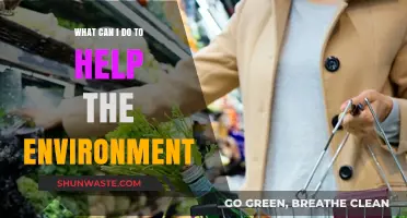 Sustainable Steps: Simple Actions to Protect Our Planet Daily