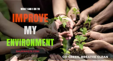 Sustainable Steps: Simple Actions to Enhance Your Environment Today
