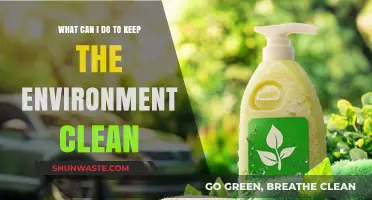 Simple Eco-Friendly Actions to Keep Our Environment Clean and Healthy