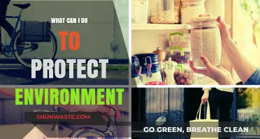 Sustainable Steps: Simple Actions to Protect Our Environment Daily