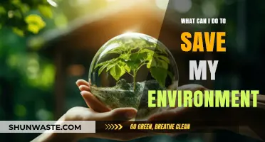 Simple Eco-Friendly Actions to Protect and Preserve Our Environment