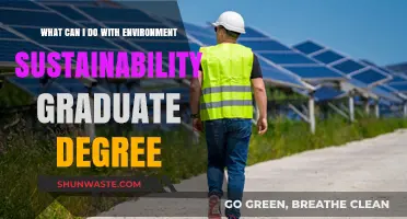 Unlocking Green Careers: Opportunities with an Environmental Sustainability Degree