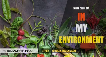 Discover Edible Treasures: Exploring Your Environment's Natural Food Sources