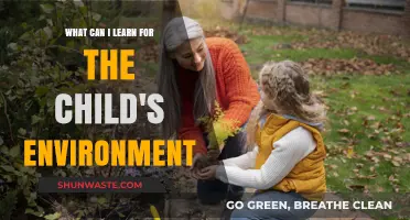 Creating a Nurturing Child’s Environment: Essential Lessons for Parents
