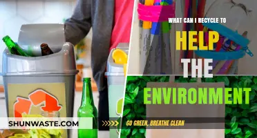 Eco-Friendly Recycling Guide: Simple Items to Save Our Planet
