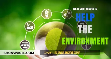 Simple Eco-Friendly Changes: Reduce Waste, Save Energy, Protect Our Planet