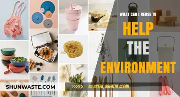 Eco-Friendly Living: Creative Ways to Reuse Everyday Items for a Greener Planet
