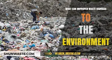 Environmental Consequences of Improper Waste Disposal: A Growing Crisis