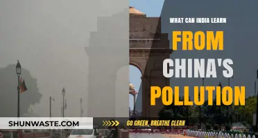 India's Green Revolution: Learning from China's Pollution Control