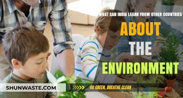 Global Green Lessons: Environmental Strategies India Can Adopt from Abroad