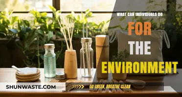 Sustainable Steps: How Individuals Can Protect and Preserve Our Environment