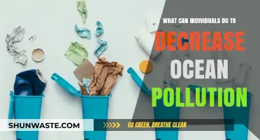 Ocean-Friendly Choices: Empowering Individuals to Reduce Pollution