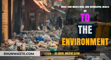 Environmental Impact: How Industrial and Municipal Waste Harms Our Planet