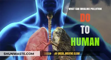 Breathing in Pollution: Unveiling the Hidden Dangers to Human Health