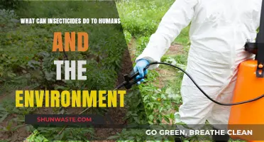 Insecticides' Impact: Human Health and Environmental Consequences Explored