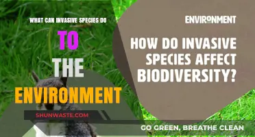 Invasive Species: Environmental Impacts, Ecosystem Disruption, and Biodiversity Loss