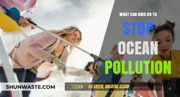 Ocean-Friendly Fun: Empowering Kids to Fight Pollution