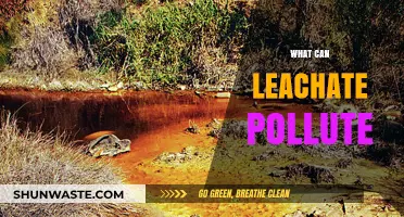 Leachate's Hidden Dangers: What It Can Pollute and How to Prevent It