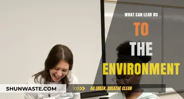 Environmental Impact of Lead: Pollution, Hazards, and Ecosystem Consequences