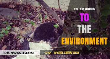 Litter's Devastating Impact: How Trash Harms Our Environment and Wildlife